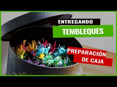 Preparación de CAJA para entregar TEMBLEQUES Panameños