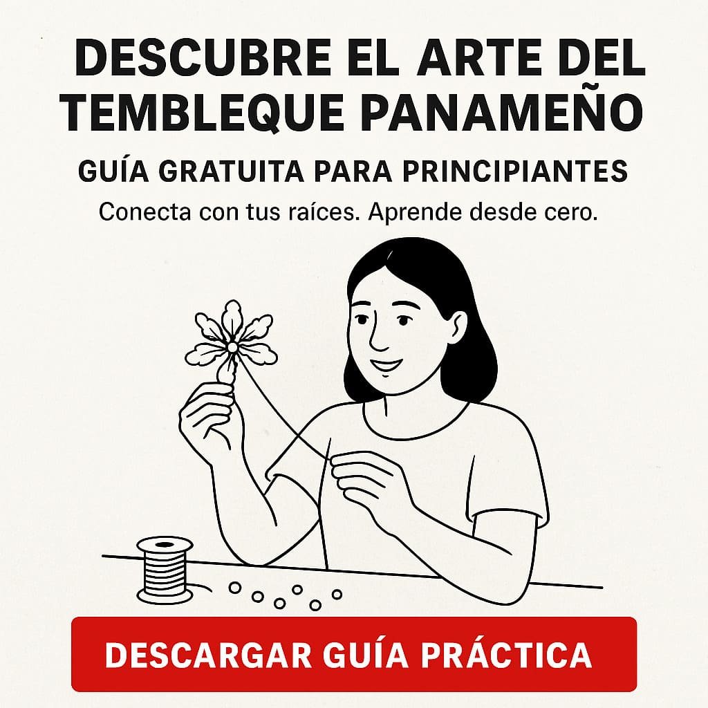 Guía para principiantes