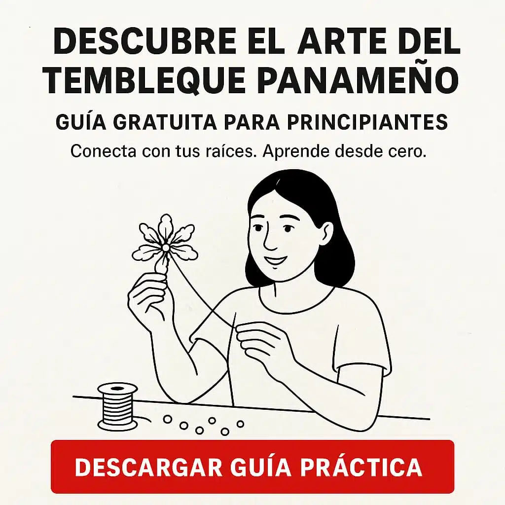 Guía para principiantes